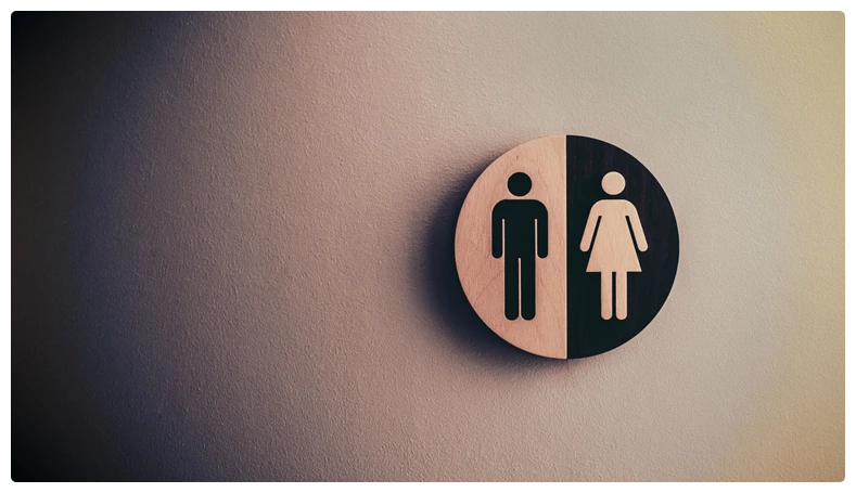 common-sense-investing-inlay-toilet