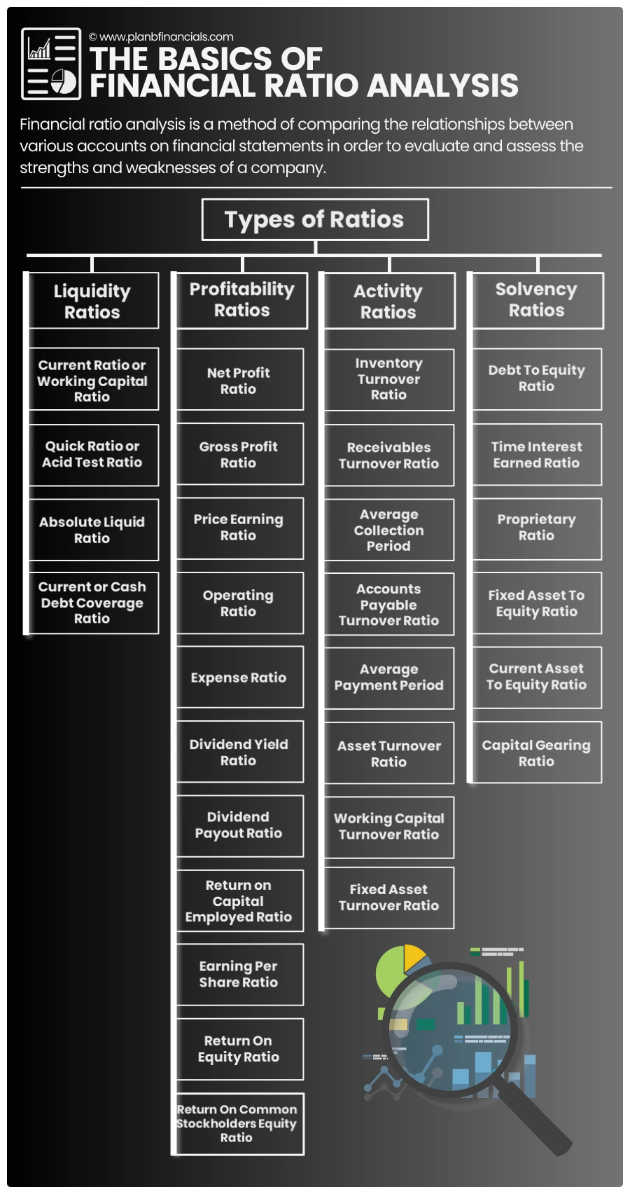 financial-ratios-education