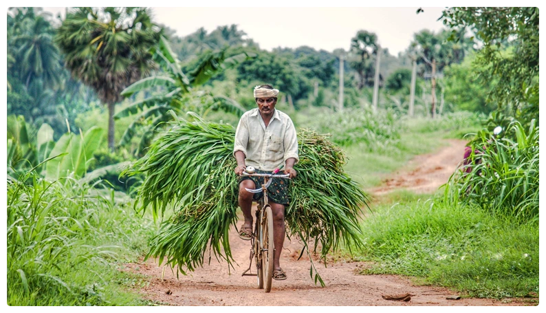agriculture-stock-india-inlay