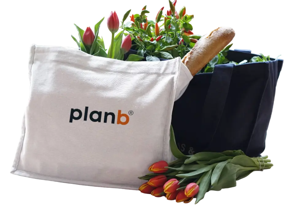 PlanB Financials Dive Deeper Advertisement