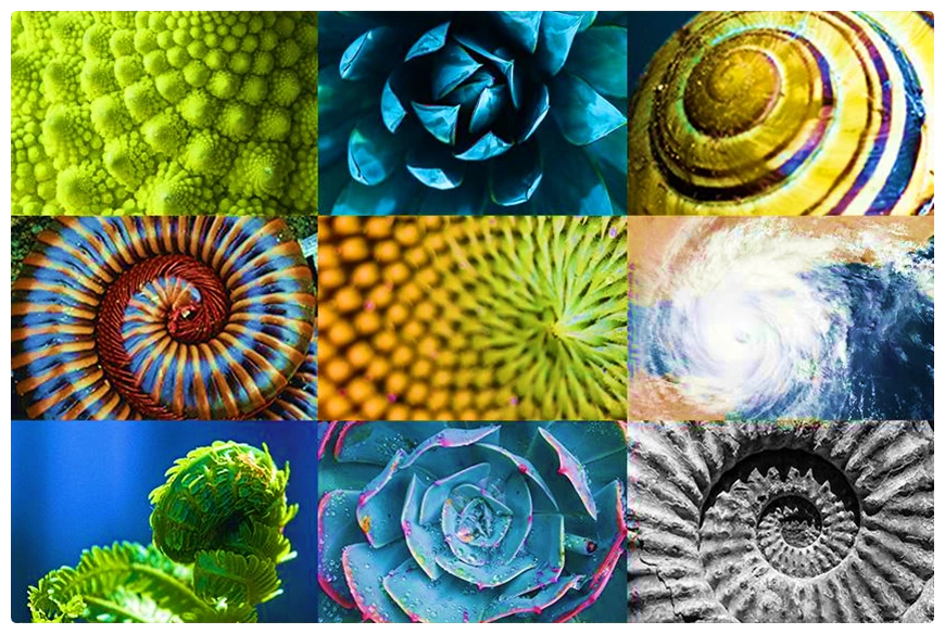 The Fibonacci Sequence A Binary Perspective