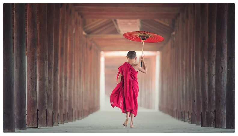 Ten Emotions, One Guide Tame Your Emotions in the Market