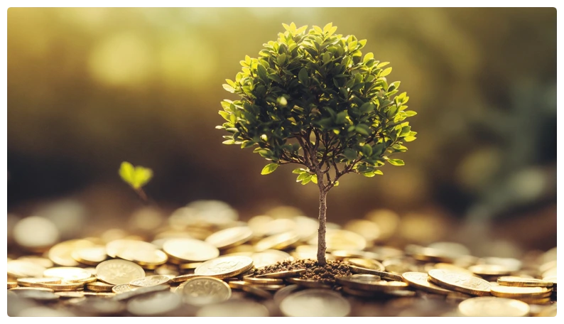 A tiny tree sprouting from a pile of money